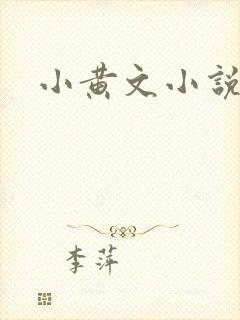 小黄文小说封面