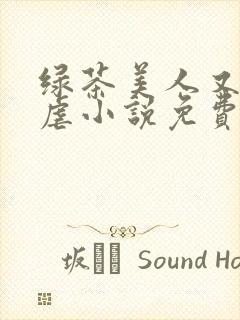 绿茶美人又在求虐小说免费阅读笔趣阁