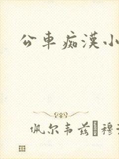公车痴汉小说