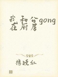 我和公gong在厨房