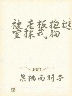 被老板抱进办公室揉我胸