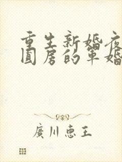 重生新婚夜正在圆房的军婚封面