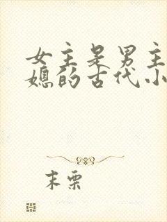女主是男主的弟媳的古代小说封面