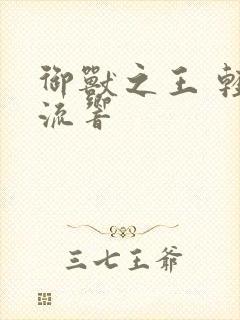 御兽之王 轻泉流响封面