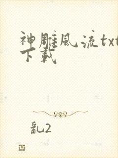 神雕风流txt下载