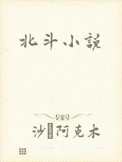 北斗小说