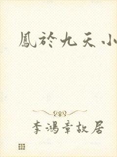 凤于九天小说