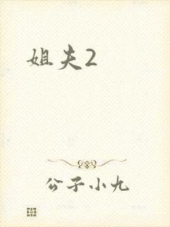 姐夫2