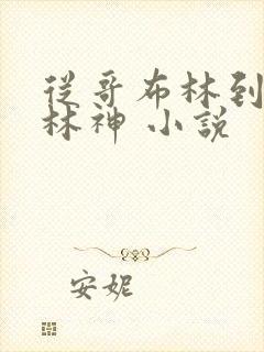 从哥布林到哥布林神 小说