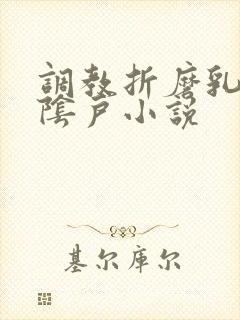 调教折磨乳头和阴户小说封面