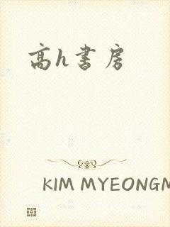 高h书房