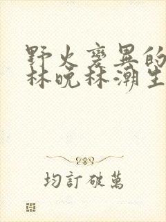 野火变异的父爱林晚林潮生