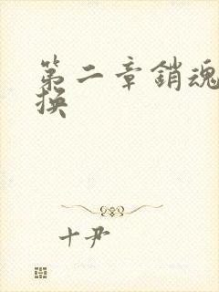 第二章销魂的交换