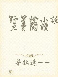 野星灯小说全文免费阅读