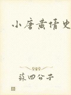 小唐黄倩史封面