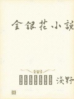 金银花小说乐可