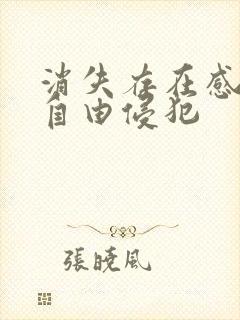 消失存在感消失自由侵犯