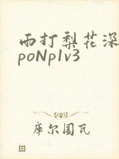 雨打梨花深闭门poNp1v3