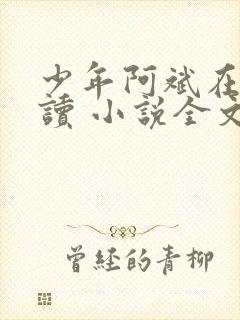 少年阿斌在线阅读 小说全文免费封面