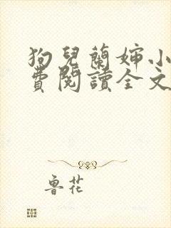 狗儿兰婶小说免费阅读全文