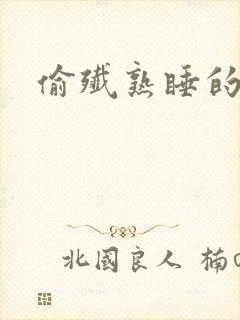 偷歼熟睡的小妍封面