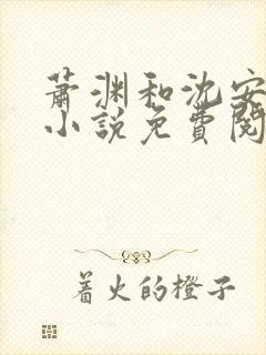 萧渊和沈安安的小说免费阅读封面