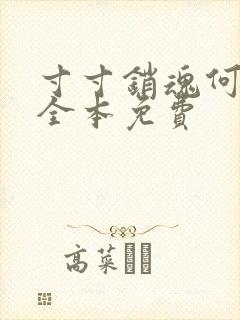 寸寸销魂何生祥全本免费