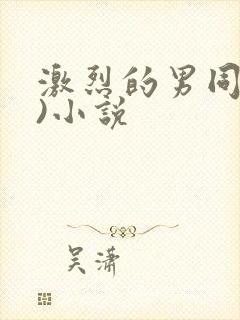 激烈的男同(h)小说