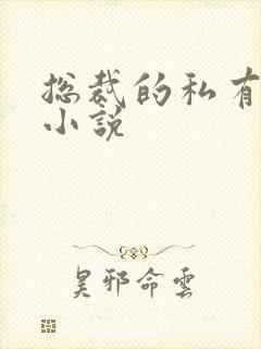 总裁的私有宝贝小说
