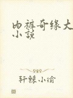 内裤奇缘大团结小说封面