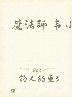 魔法师 韦小宝封面