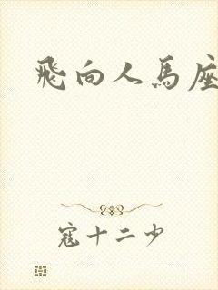 飞向人马座