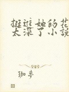 挺进她的花苞啊太深了小说封面