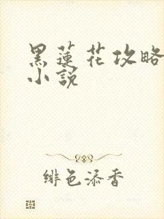 黑莲花攻略手册小说