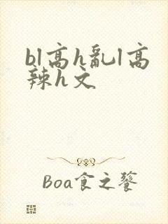 bl高h乱l高辣h文