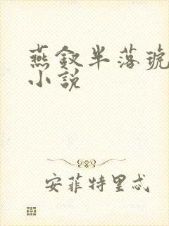 燕钗半落琥珀糖小说