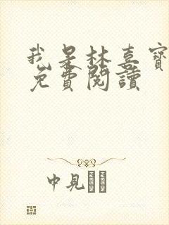 我是林喜宝小说免费阅读封面