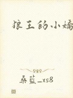 狼王的小娇妻