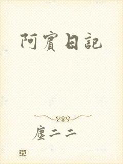 阿宾日记