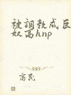 被调教成巨乳奶奴高hnp