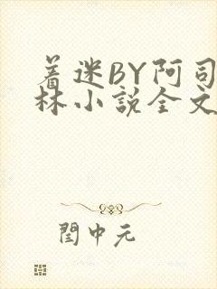 着迷BY阿司匹林小说全文免费阅读