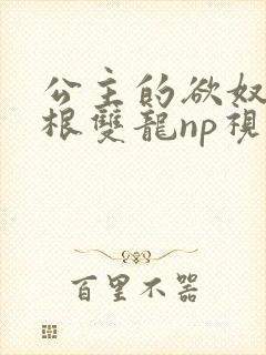 公主的欲奴h四根双龙np视频