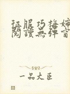 征服巧梅婶全文阅读无弹窗笔趣阁封面