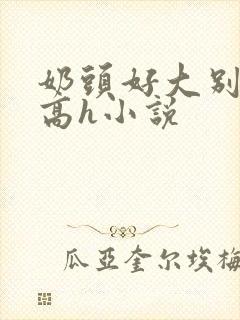 奶头好大别吸了高h小说