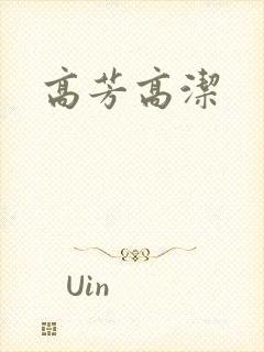高芳高洁封面