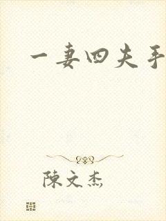 一妻四夫手记封面