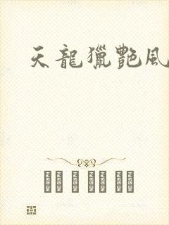 天龙猎艳风流