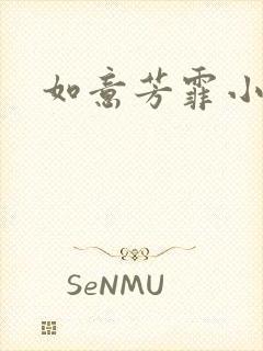 如意芳霏小说封面