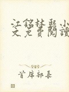 江铭林熙小说全文免费阅读