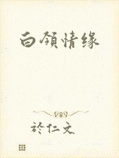 白领情缘